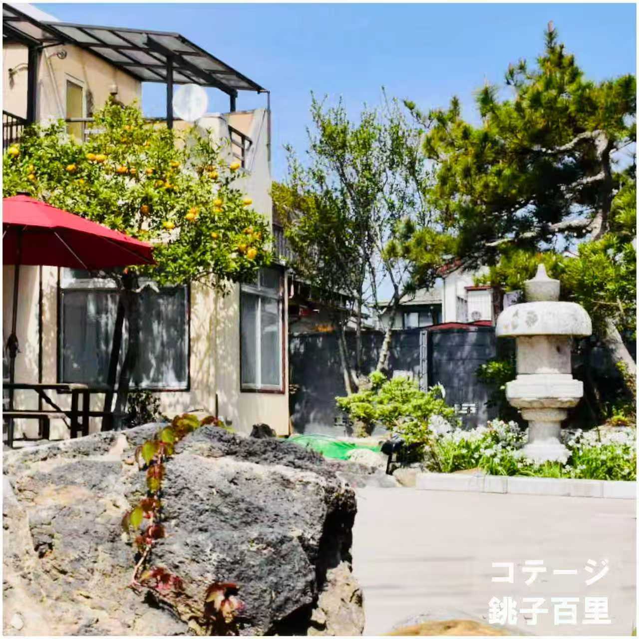 石灯籠と橙の木のある日本庭園
