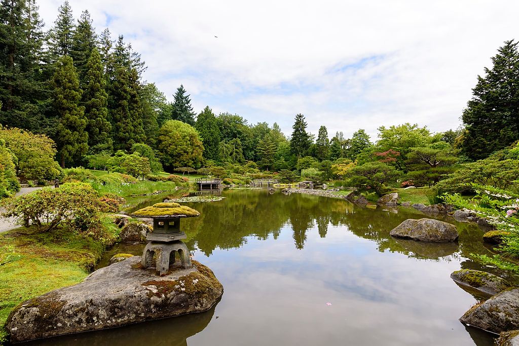 石を配した池と、水面に映る木々